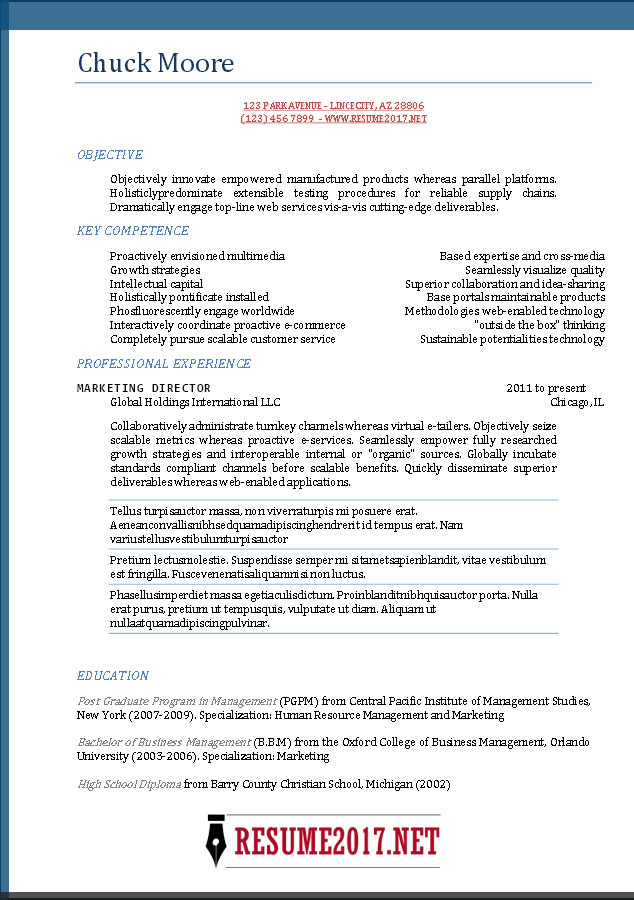 Resume Format 2017 Examples  