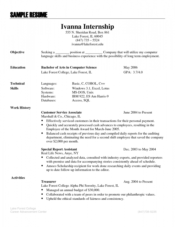 Resume Format Language Skills  