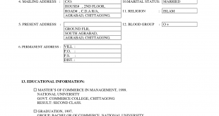 Cv Template Year 10  