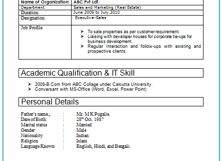 2 Years Resume Format  