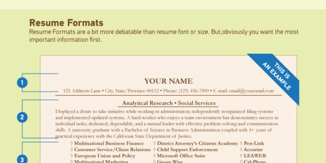 Resume Format And Font Size  
