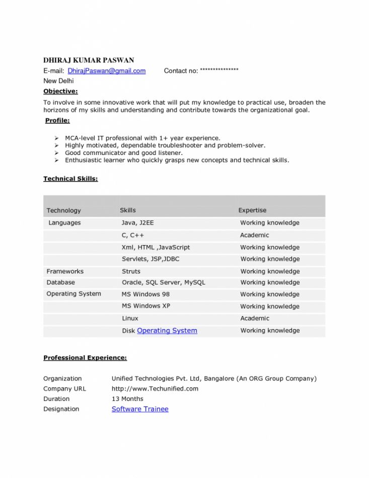 9 Years Experience Resume Format  