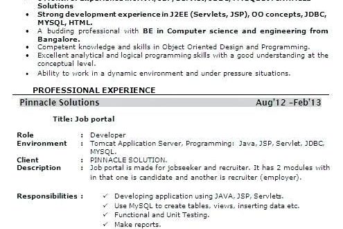 Resume Format 6 Years Software Engineer  