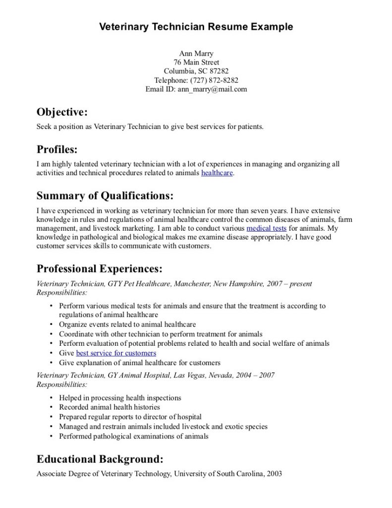 Cv Template Veterinary Student  