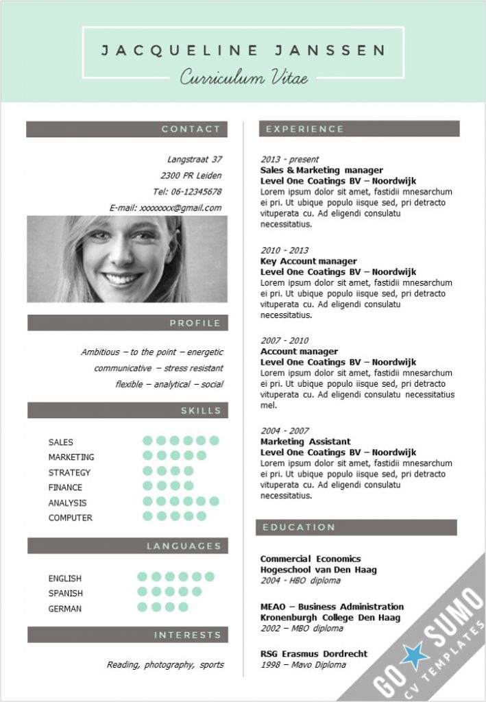 Cv Template New  