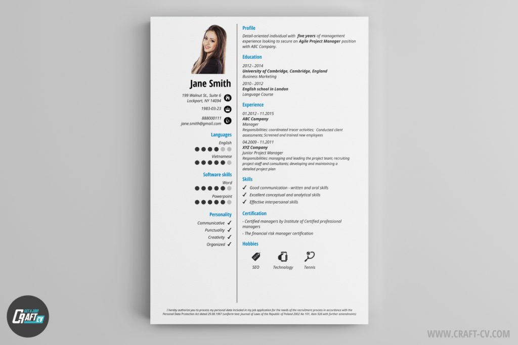 Cv Template Online  