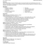 Cv Template Quality Assurance  