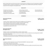 A Professional Resume Format  