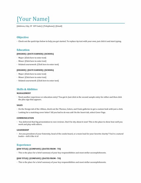 Cv Template Office 365  