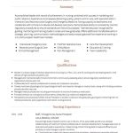 Cv Template Nursing  