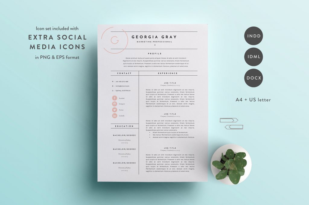 Resume Template 3 Page Cv Template  