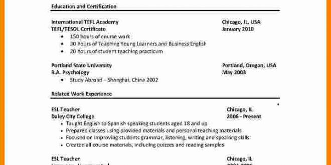 Resume Format Used In Usa  