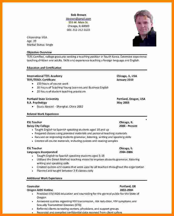 Resume Format Used In Usa  