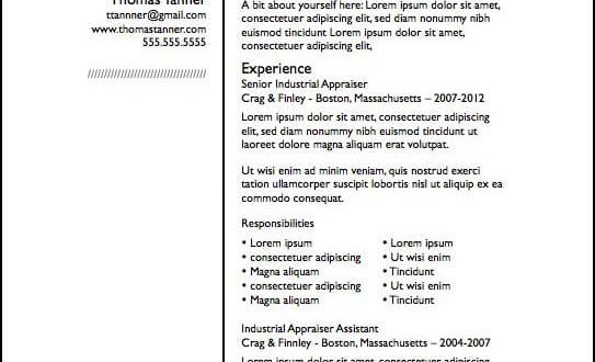 Cv Template In Pages  