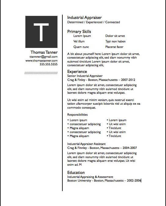 Cv Template In Pages  