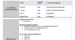 Resume Format 1 Year Experience  