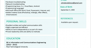 Resume Format One Page  