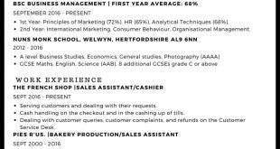 Cv Template College Student  