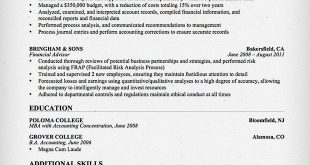 Resume Format Accountant  