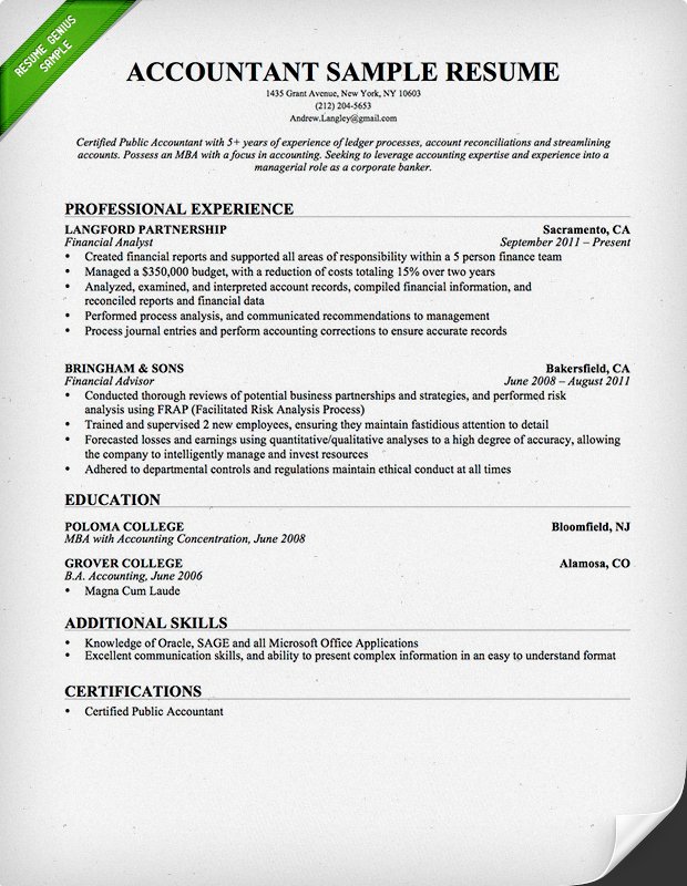 Resume Format Accountant  