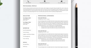 5 Page Cv Template  