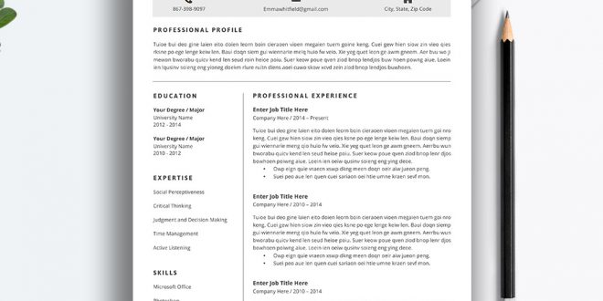 5 Page Cv Template  