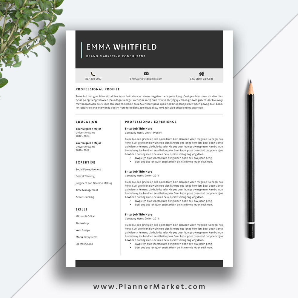 5 Page Cv Template  