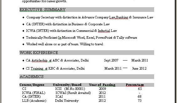 1 Year Experience Cv Template  