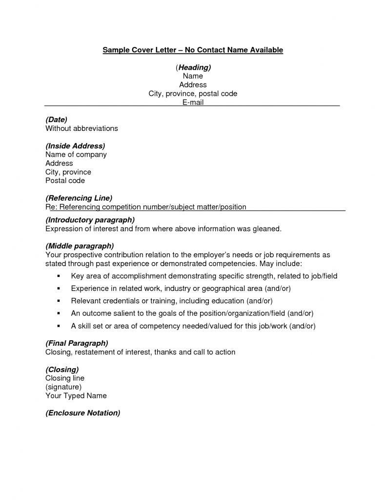 Cover Letter Template No Name  