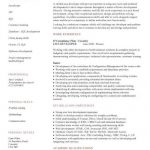 Cv Template Java Developer  