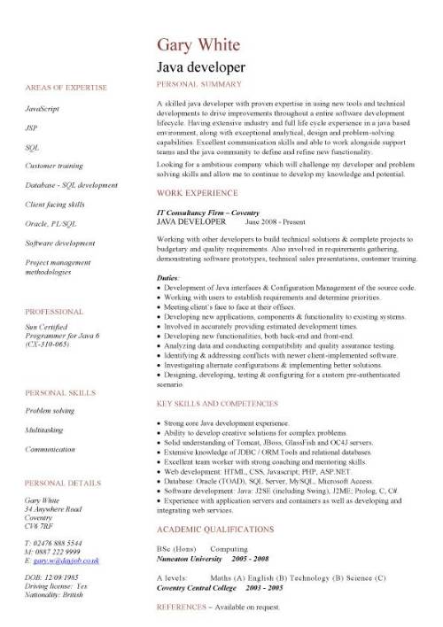 Cv Template Java Developer  