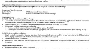 Resume Format Manager  