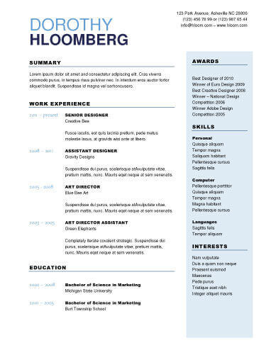 3 Column Resume Format  