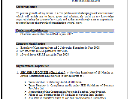 3 Page Resume Format For Freshers  