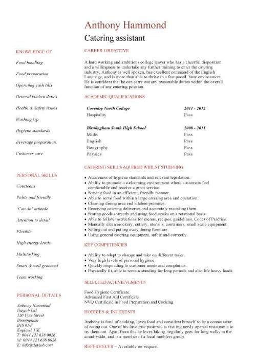 Cv Template No Experience  