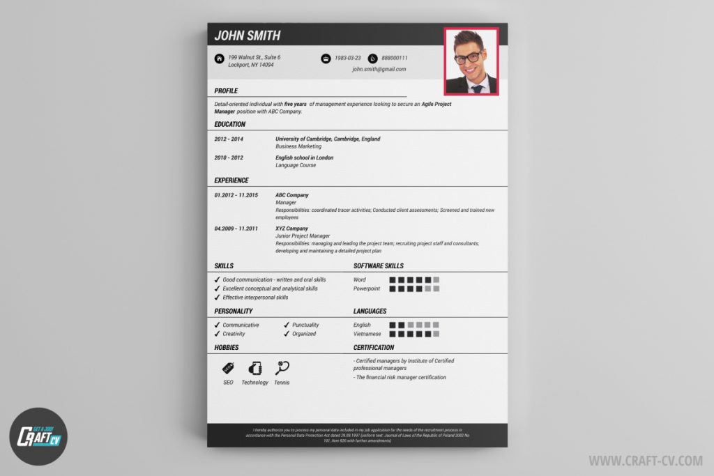 Cv Template Online Free  