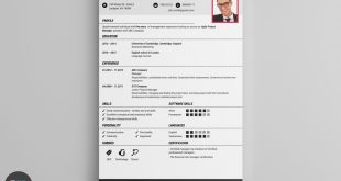 Cv Template Online Free  