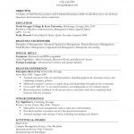 Resume Format Job Experience  