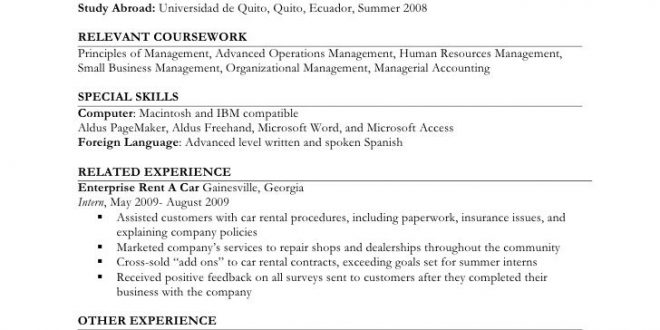 Resume Format Job Experience  
