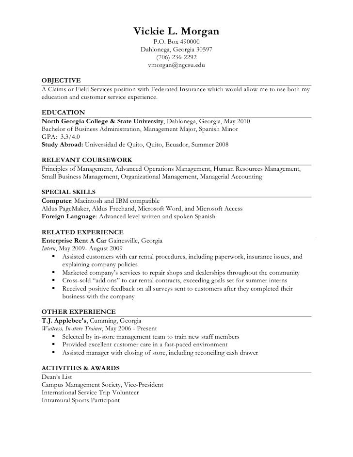 Resume Format Job Experience  