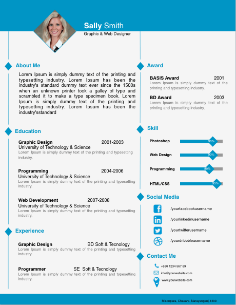 Cv Template For Pages  