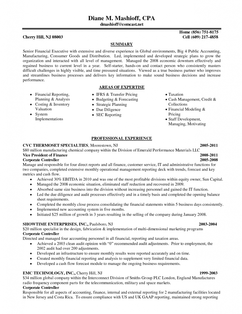 Cv Template Big 4  