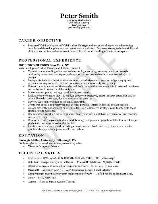 Ecommerce Developer Resume Format  