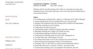 Cv Template Junior  