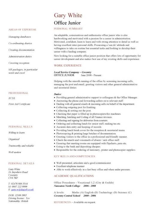 Cv Template Junior  