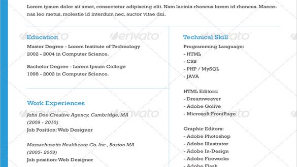 Cv Template One Page  