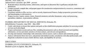 Resume Format Examples  