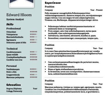2 Column Resume Format  