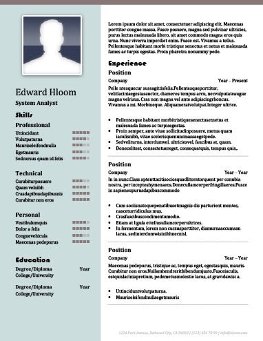 2 Column Resume Format  