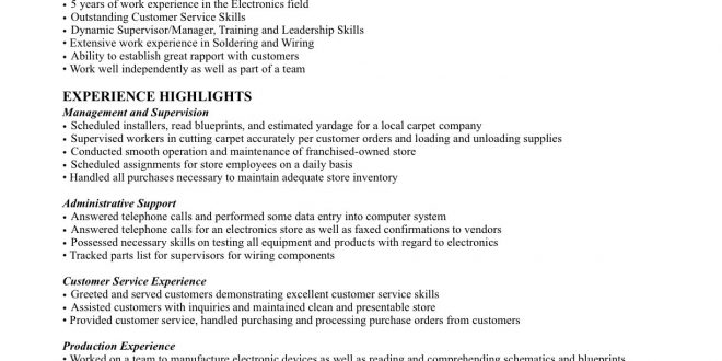 Resume Format One Job  